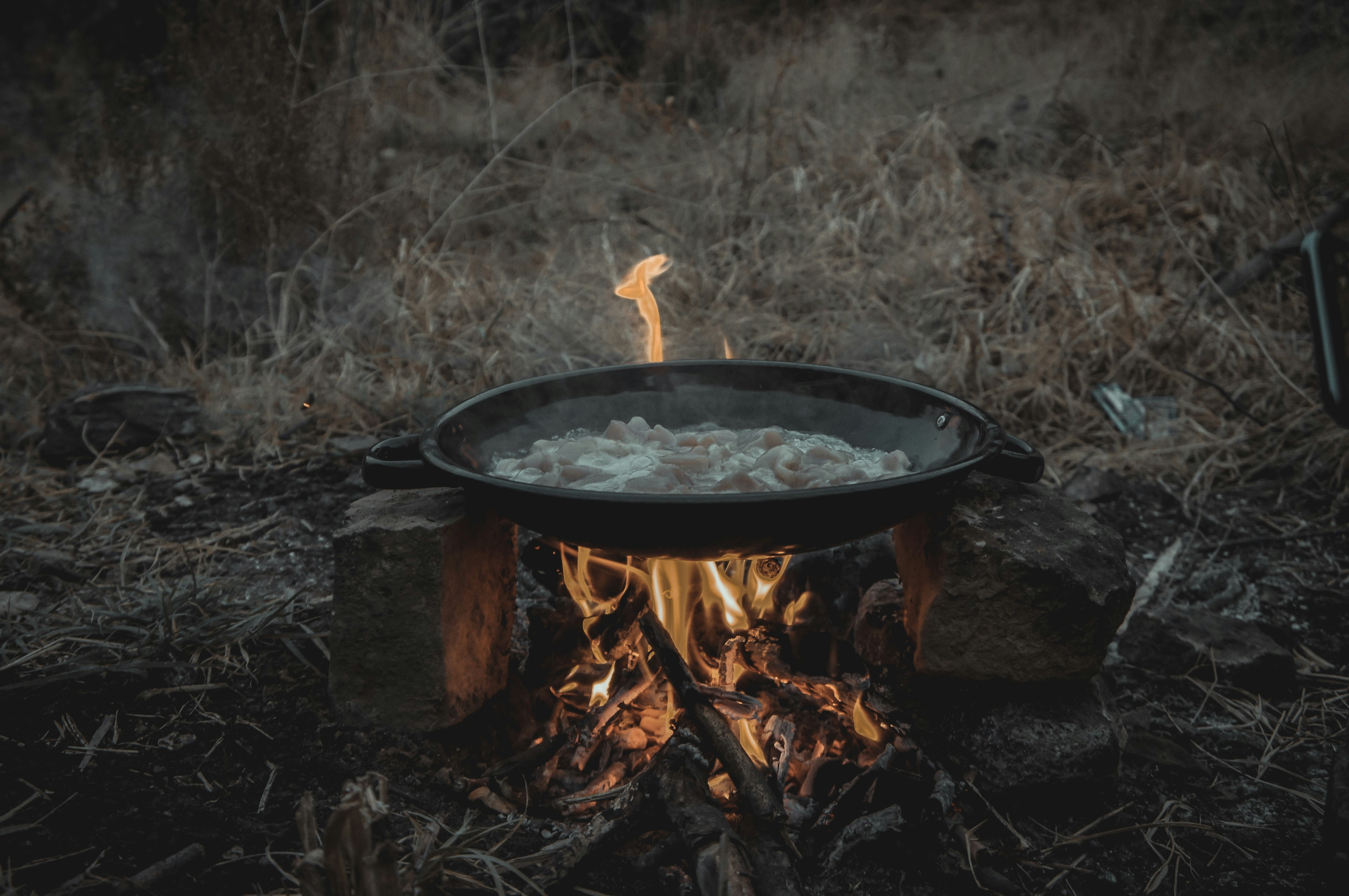 Best Dove Recipes For Camping Meals