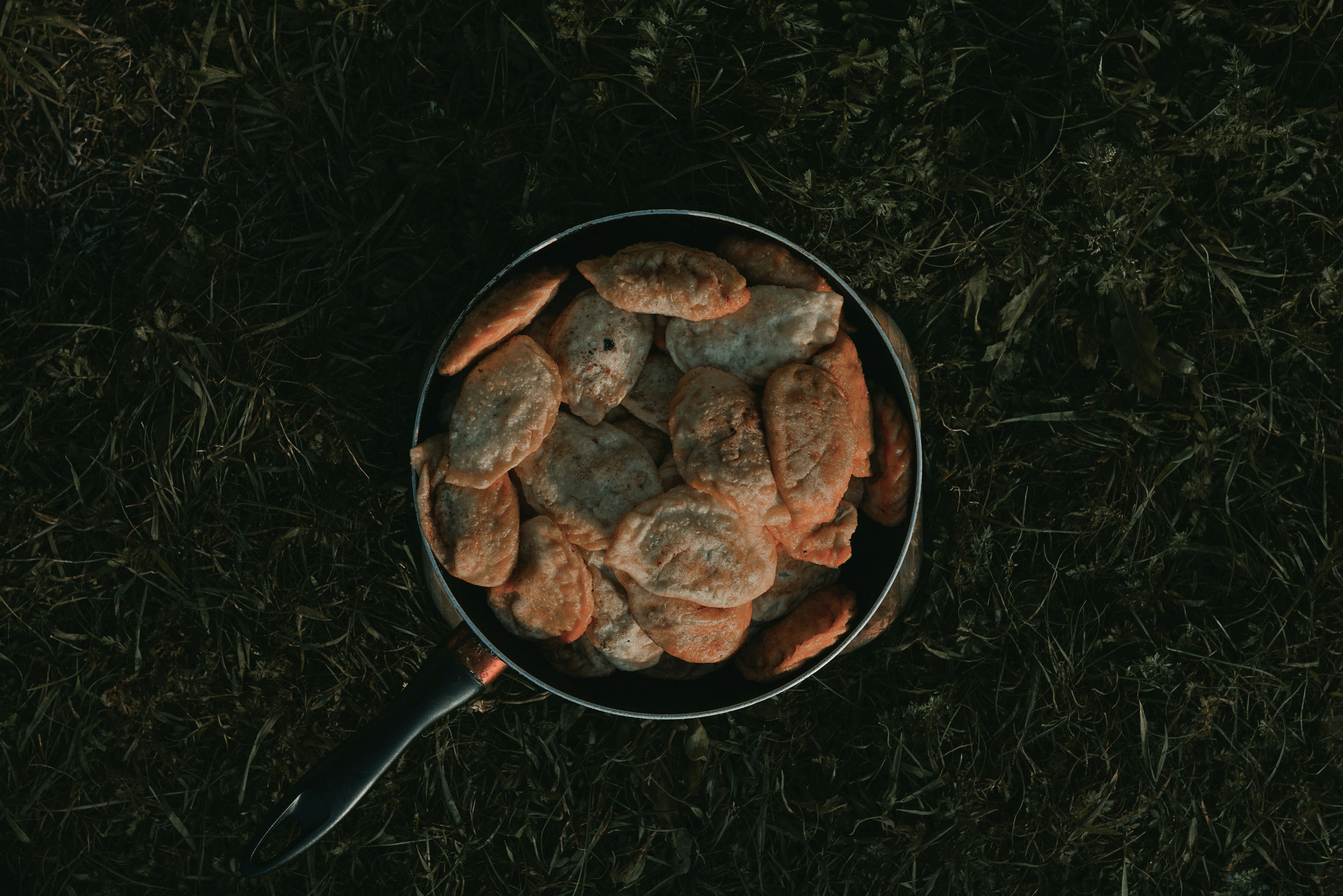 Best Dove Recipes For Fall Hunting