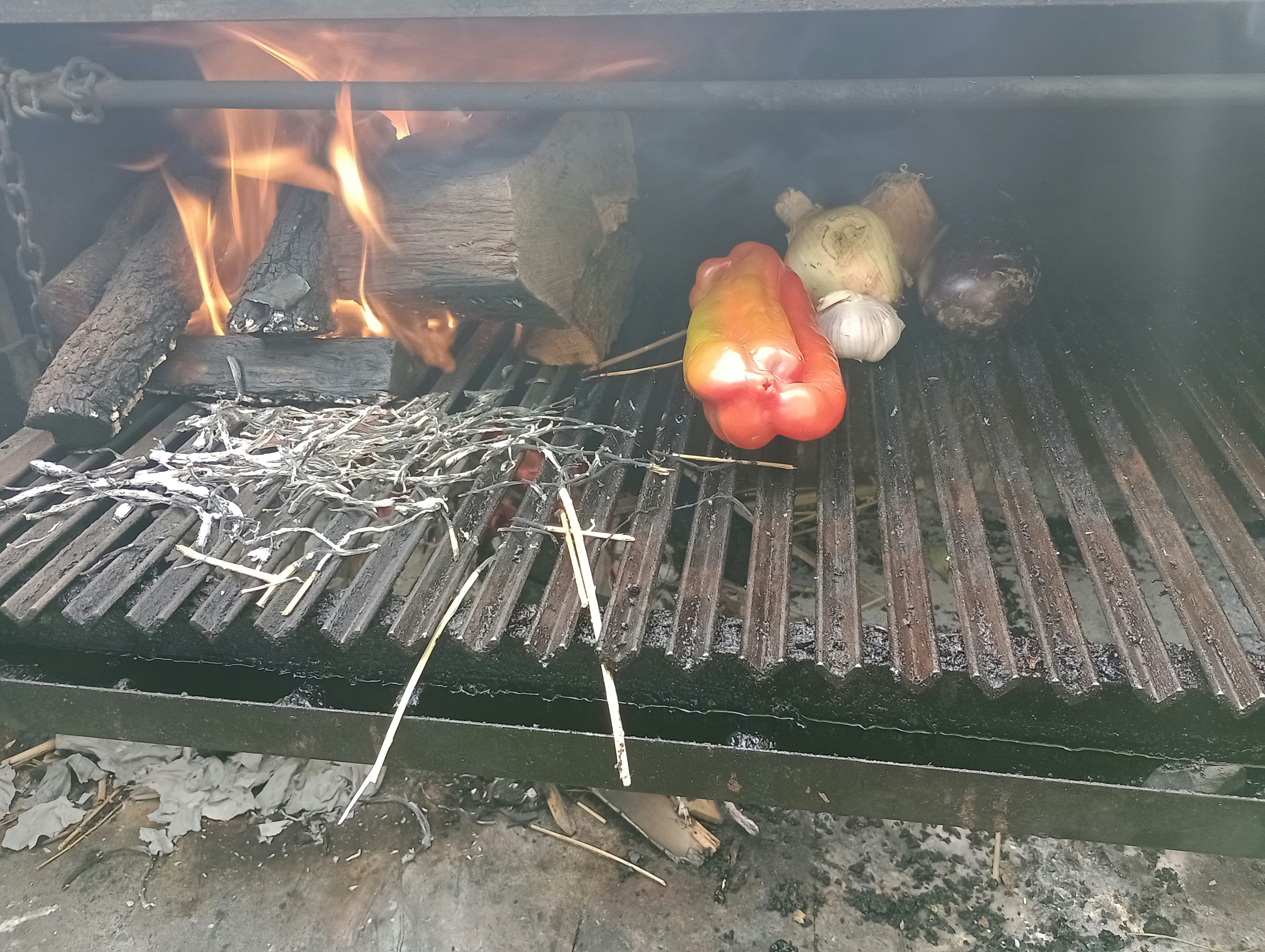 Best Dove Recipes For Hunting Season