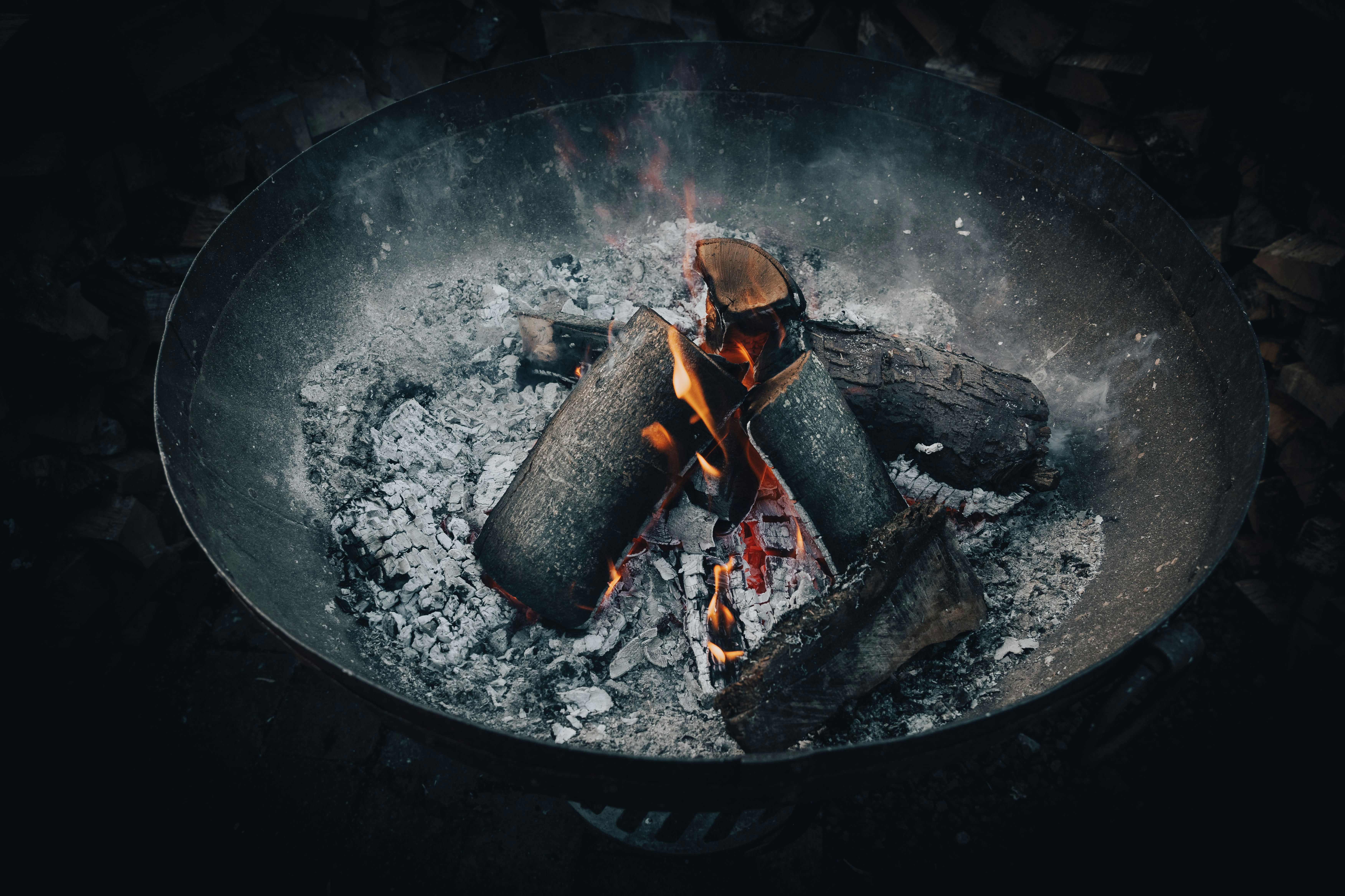 Best Dove Recipes For Winter Cooking