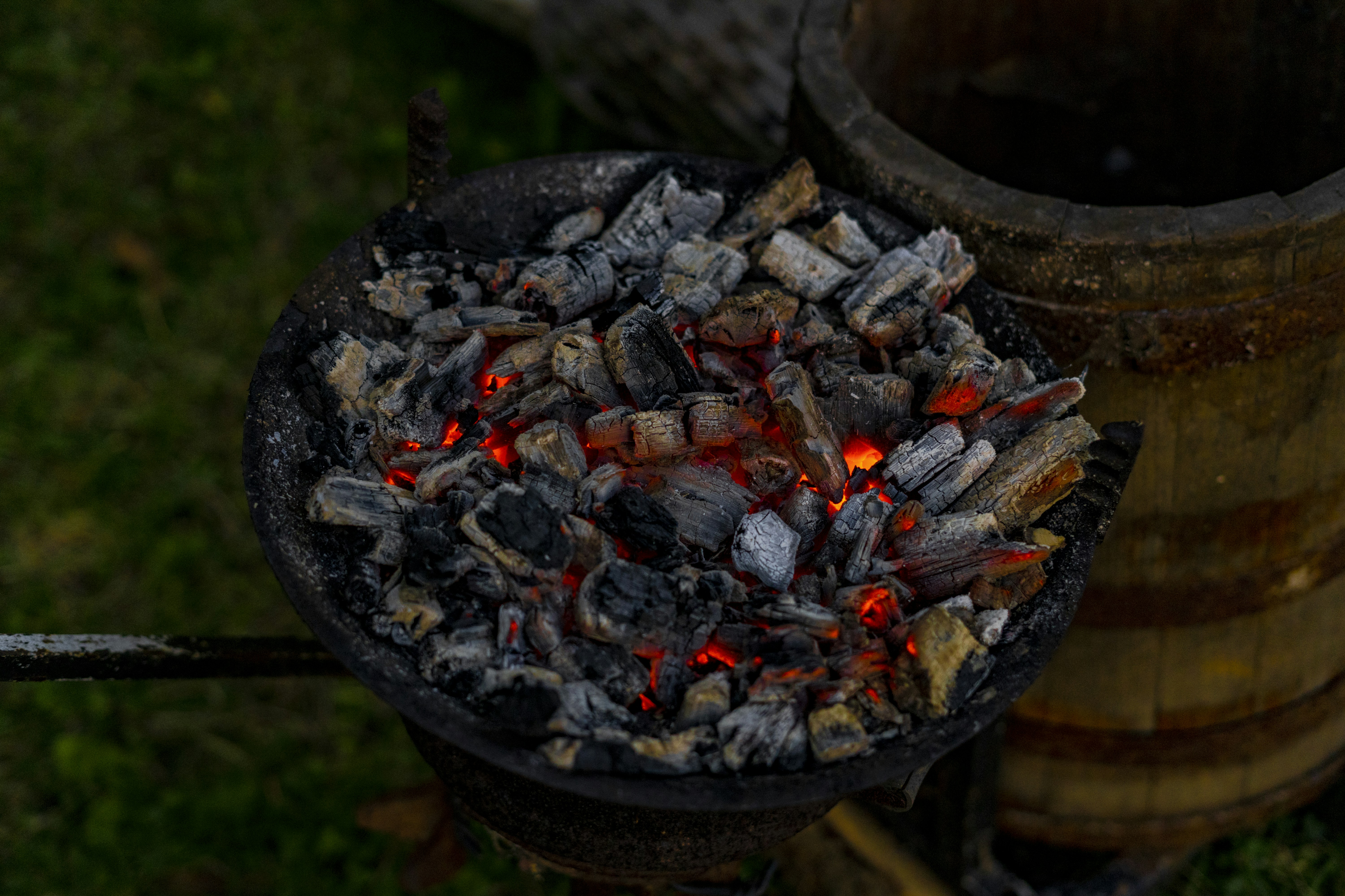 Best Goose Recipes For Spring Preparation