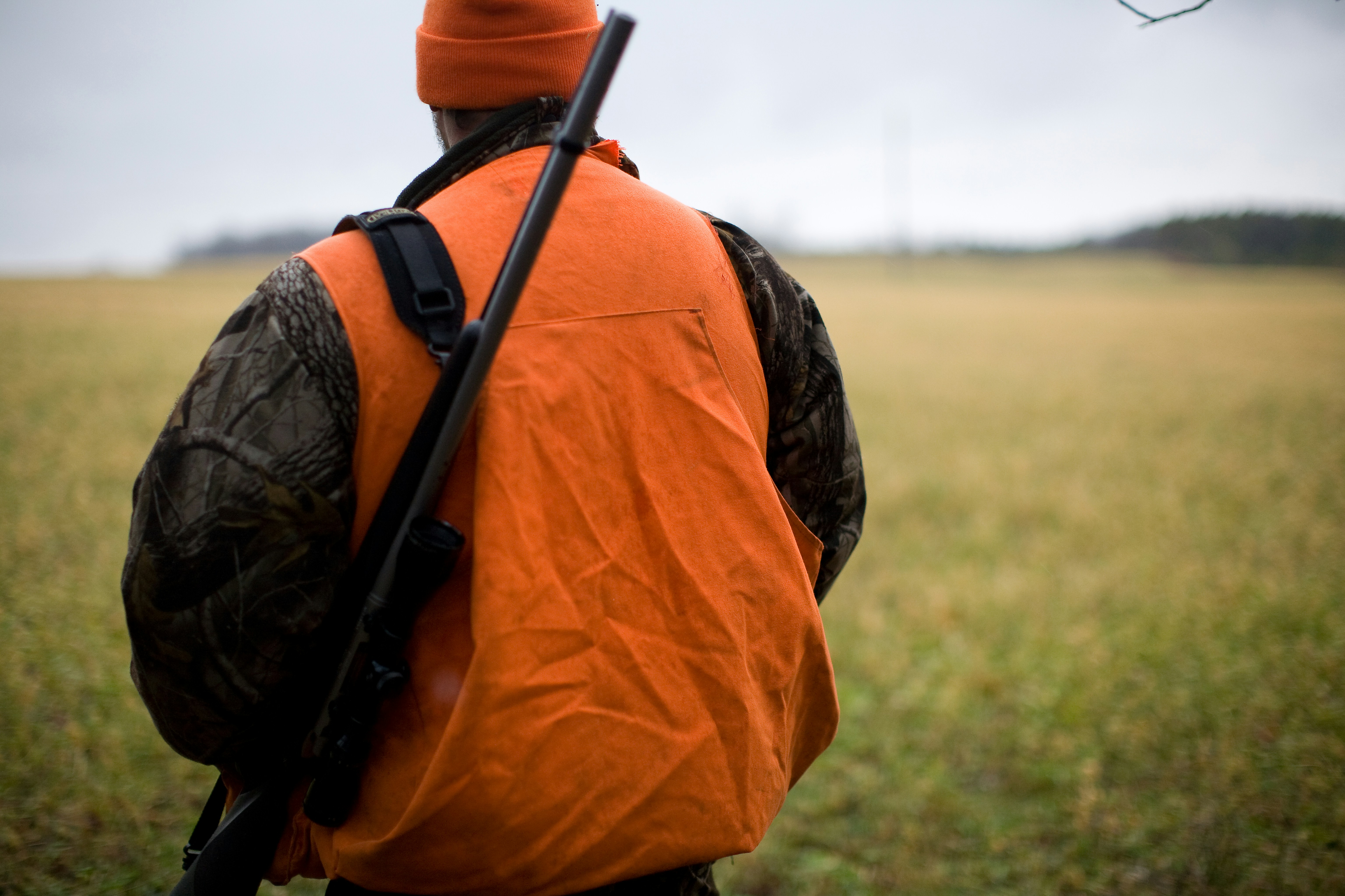 Firearm safety when hunting mallard duck